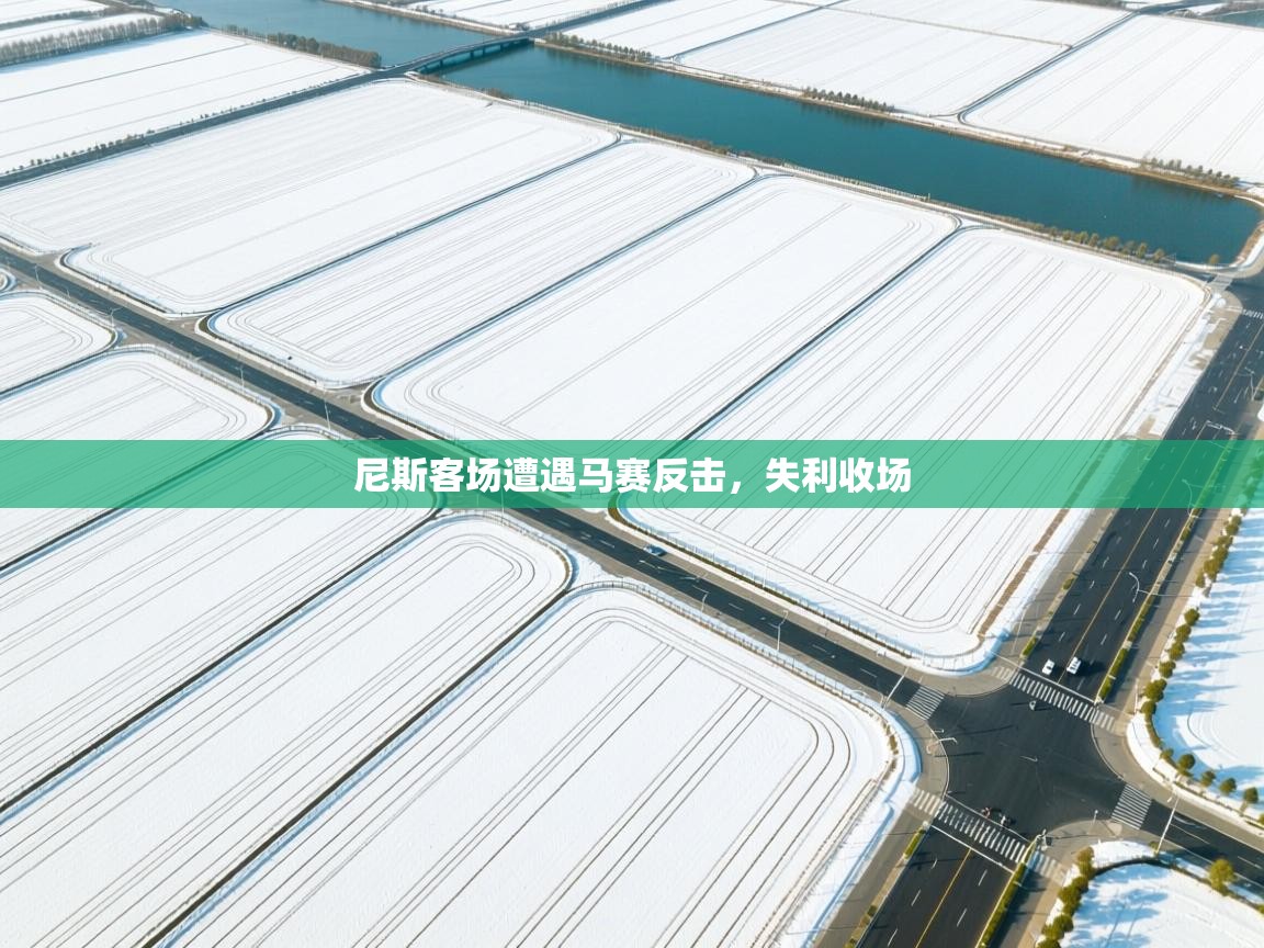 开云体育在线下载-尼斯客场遭遇马赛反击，失利收场  第2张