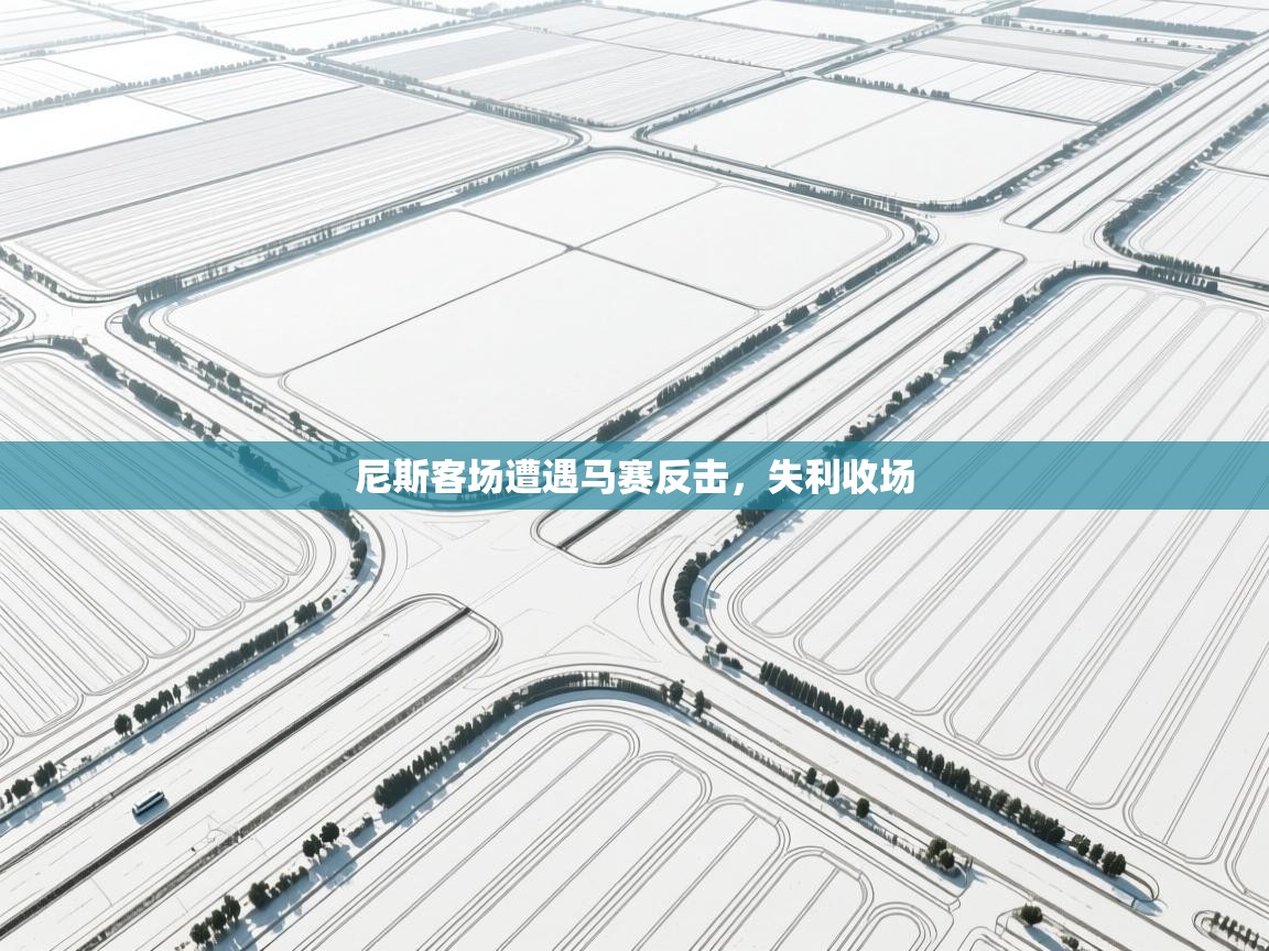 开云体育在线下载-尼斯客场遭遇马赛反击，失利收场  第1张