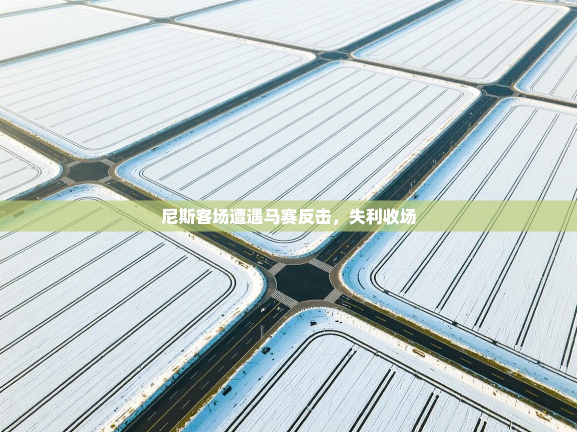 开云体育在线下载-尼斯客场遭遇马赛反击，失利收场  第3张