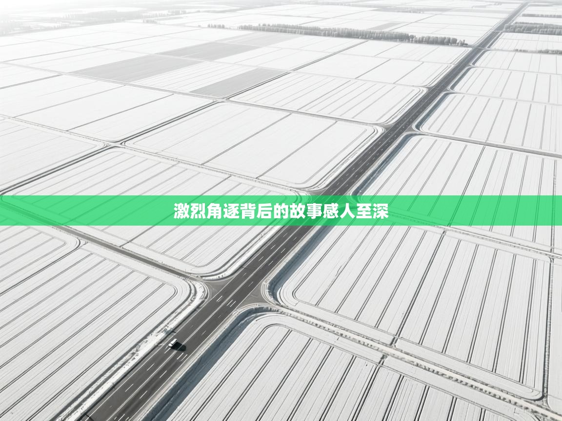 开云体育入口邀请码-激烈角逐背后的故事感人至深  第1张