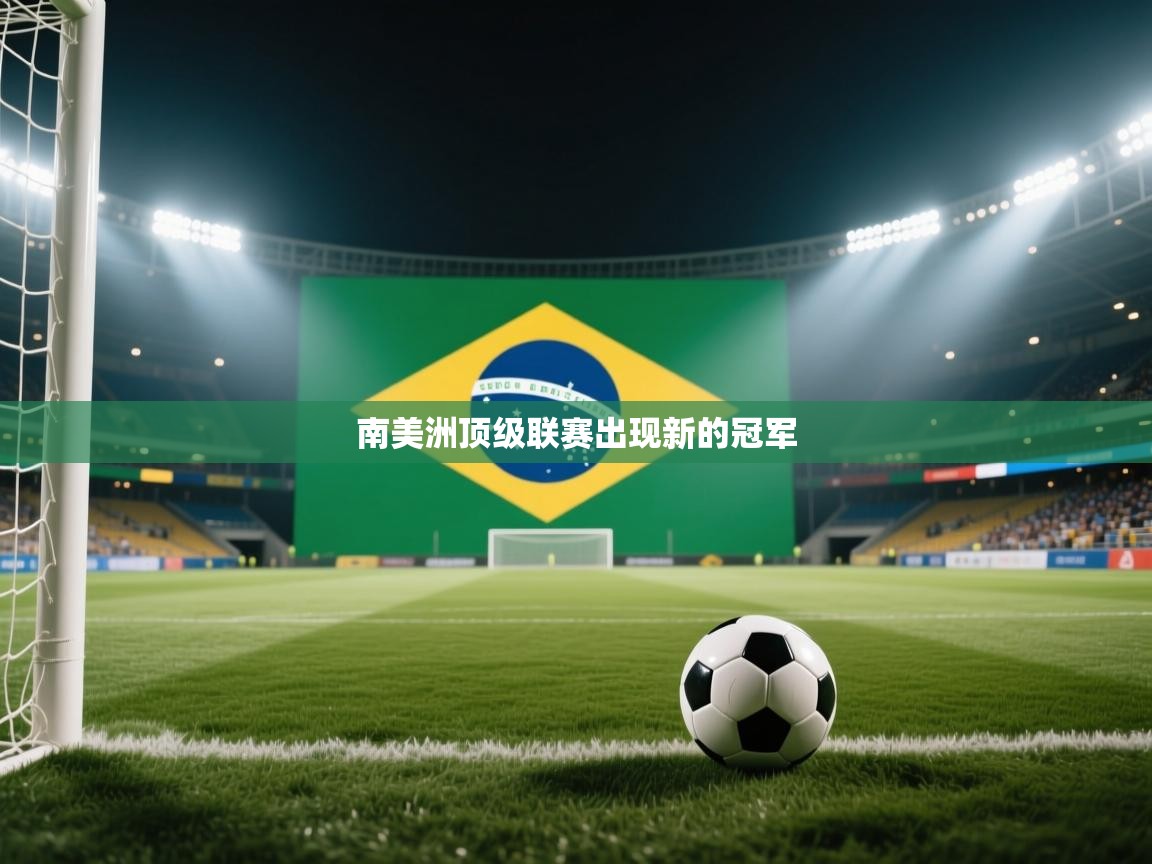 开云体育在线观看-南美洲顶级联赛出现新的冠军 第1张