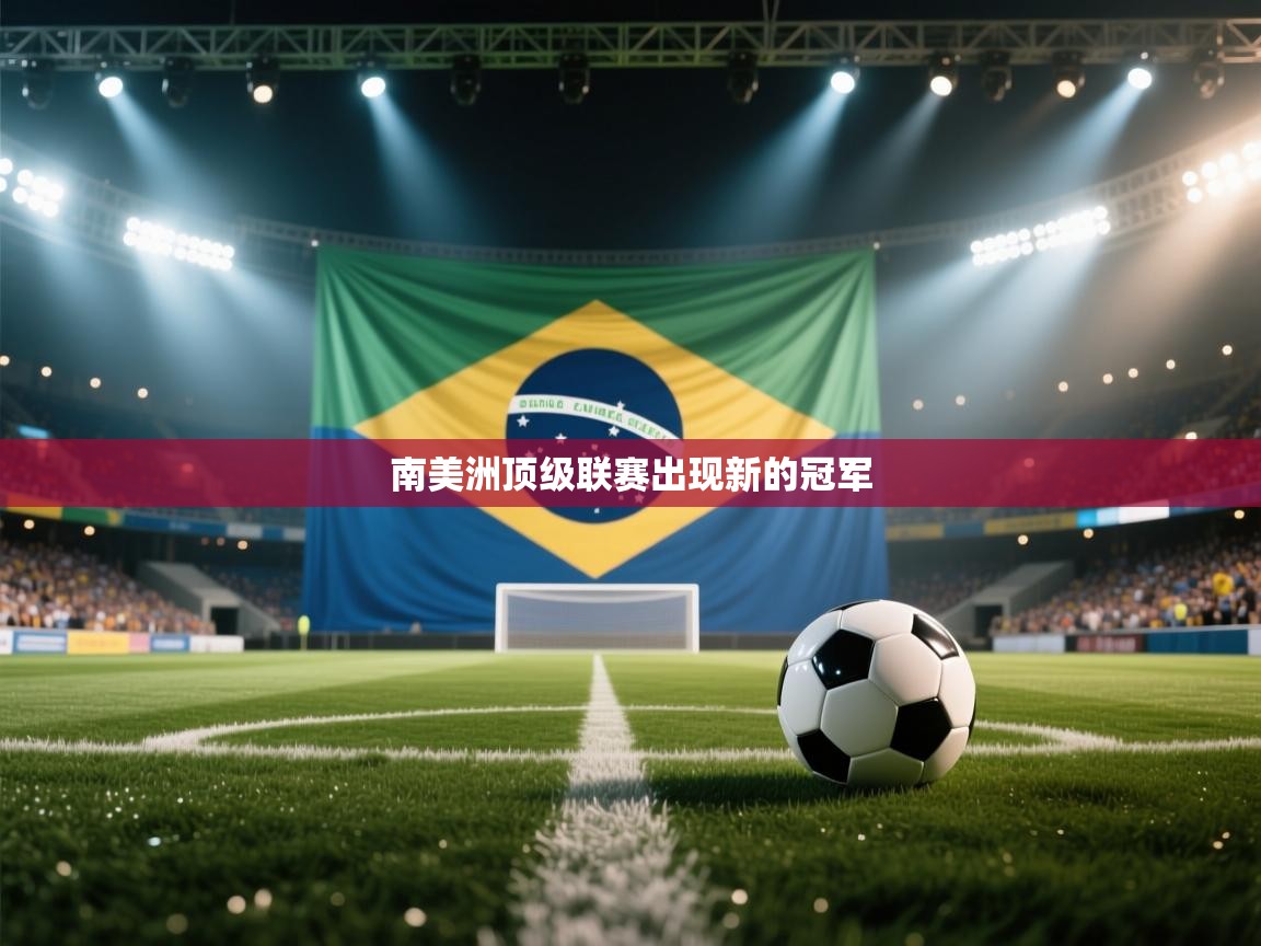 开云体育在线观看-南美洲顶级联赛出现新的冠军 第2张