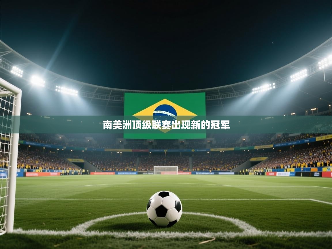 开云体育在线观看-南美洲顶级联赛出现新的冠军 第4张