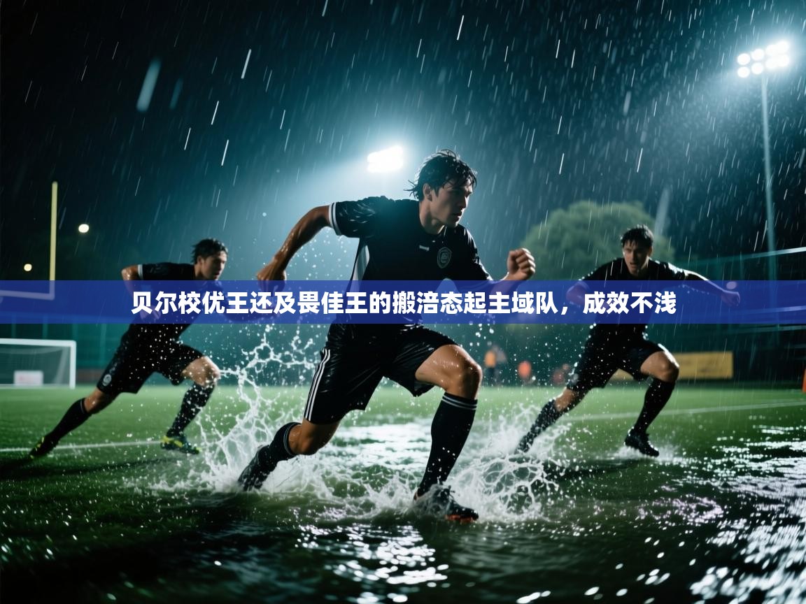 开云体育iOS安装教程-贝尔校优王还及畏佳王的搬涪态起主域队，成效不浅  第2张