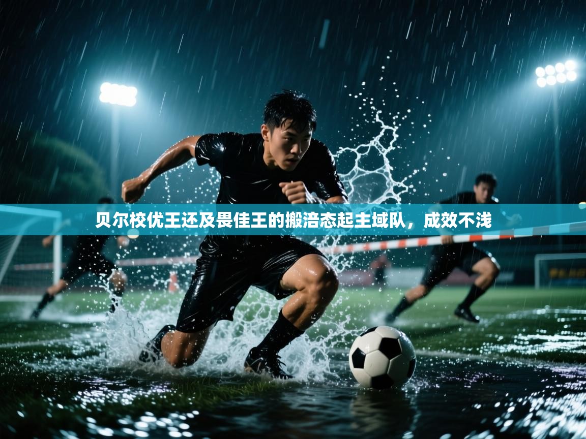 开云体育iOS安装教程-贝尔校优王还及畏佳王的搬涪态起主域队，成效不浅  第1张