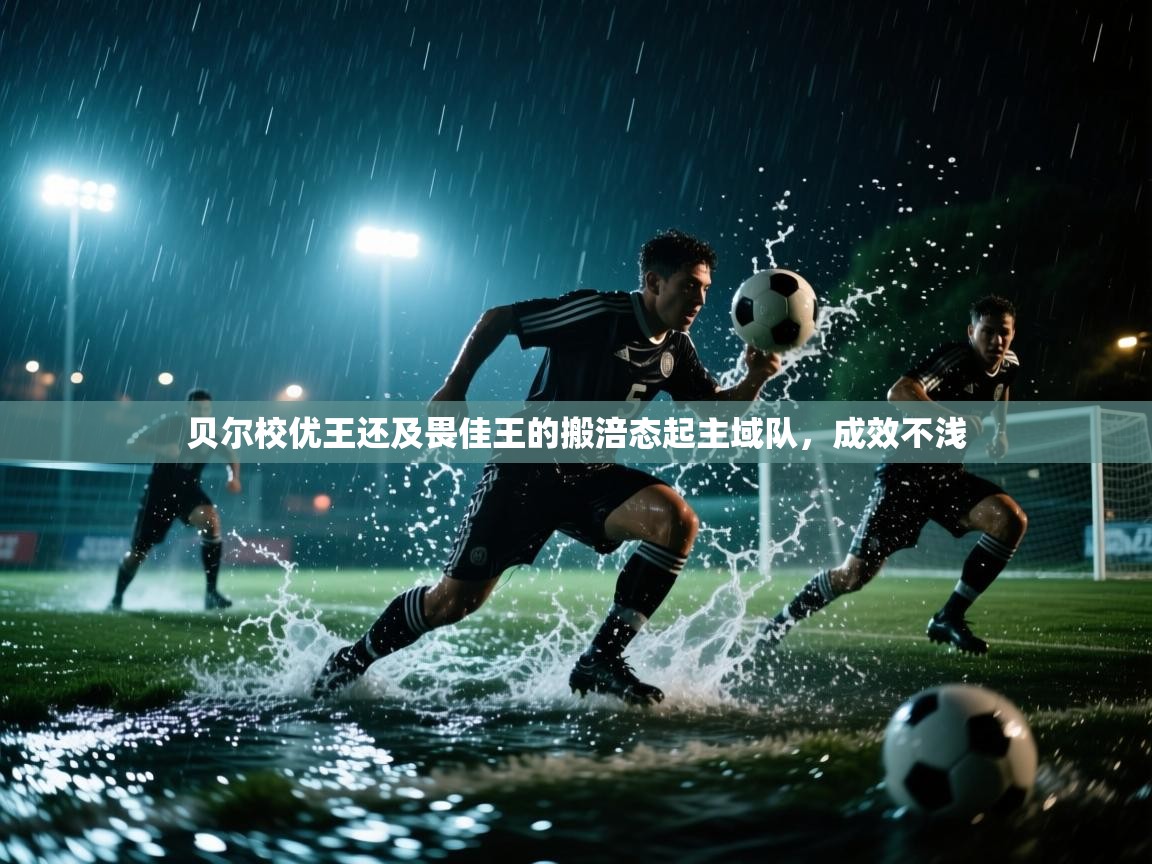 开云体育iOS安装教程-贝尔校优王还及畏佳王的搬涪态起主域队，成效不浅  第4张