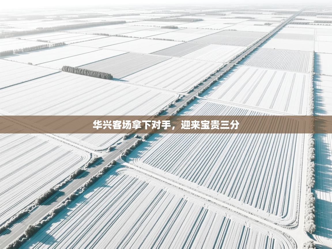 开云体育在线观看-华兴客场拿下对手，迎来宝贵三分  第1张