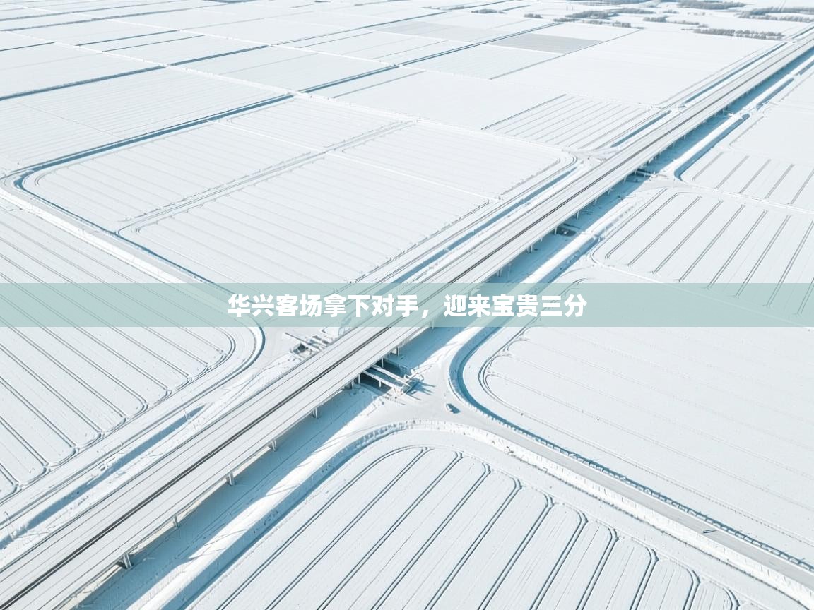 开云体育在线观看-华兴客场拿下对手，迎来宝贵三分  第2张