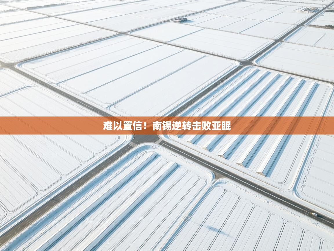 开云体育多语言中文版-难以置信！南锡逆转击败亚眠  第2张